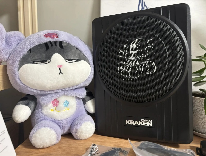 Изображение Обзор с DRIVE2: КОМПАКТНЫЙ БАСС